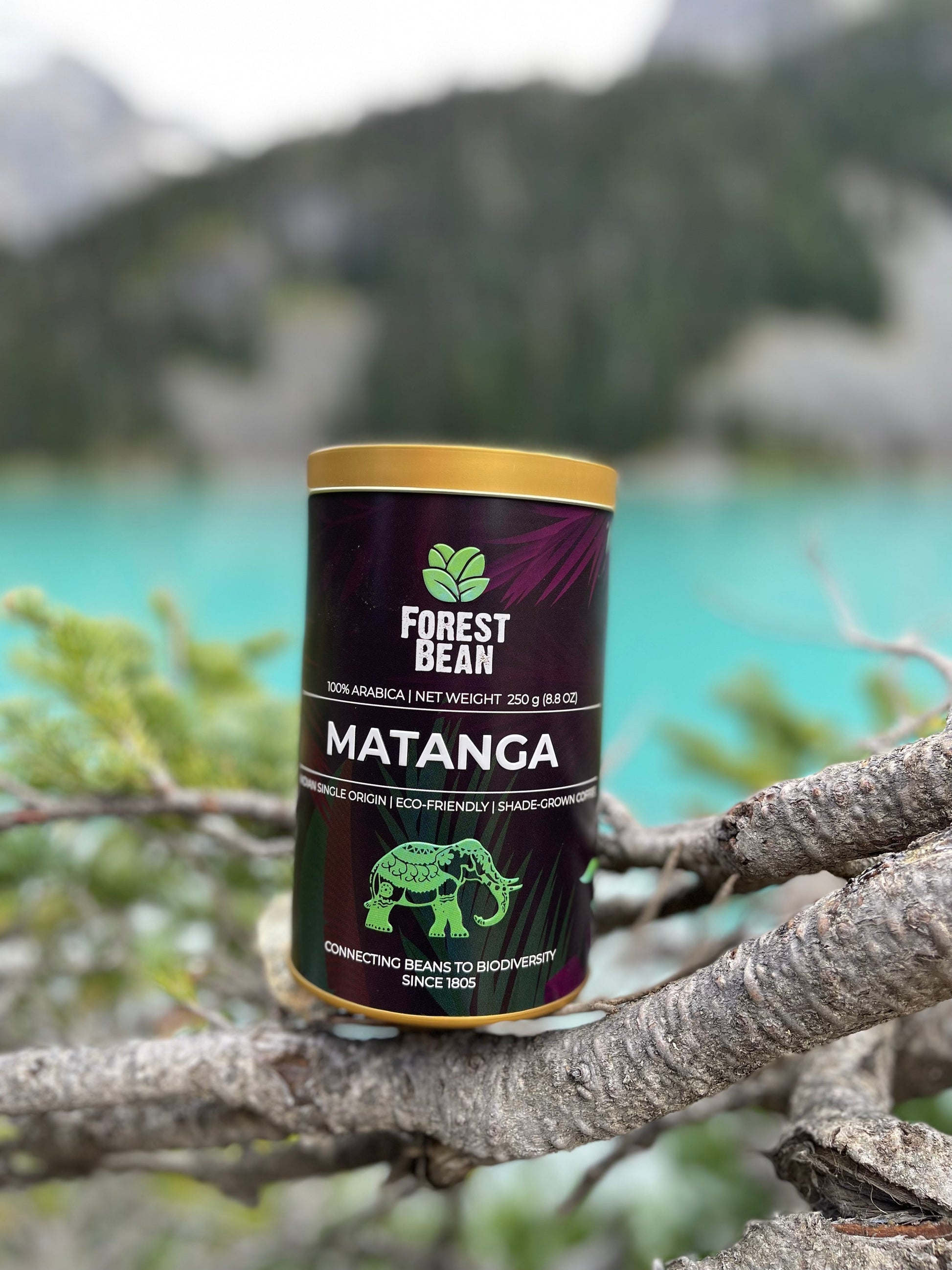MATANGA : Italian Espresso Roast (Tin).