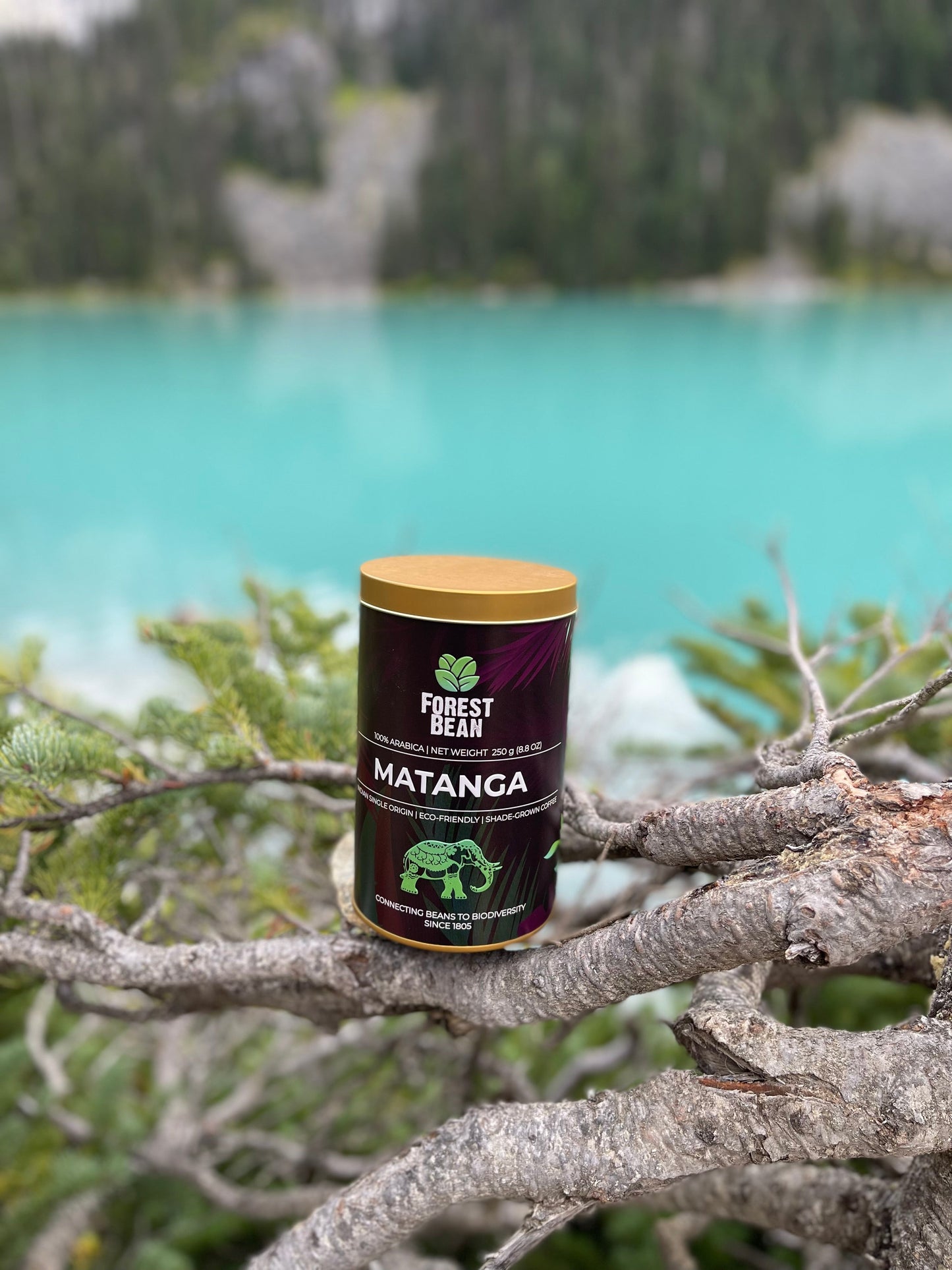 MATANGA : Italian Espresso Roast (Tin).