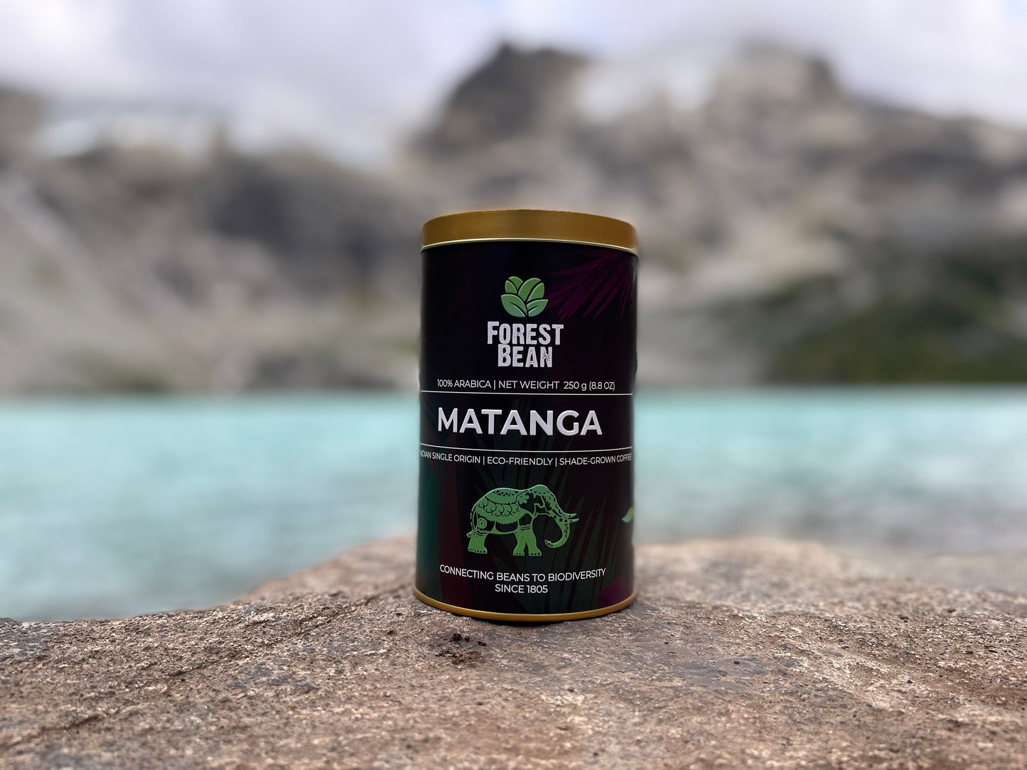 MATANGA : Italian Espresso Roast (Tin).