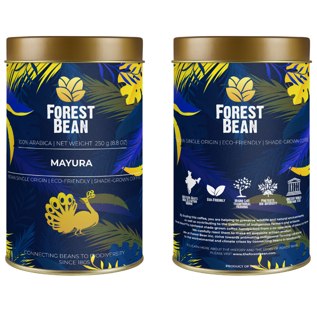 MAYURA : Light to Medium Roast (Tin).