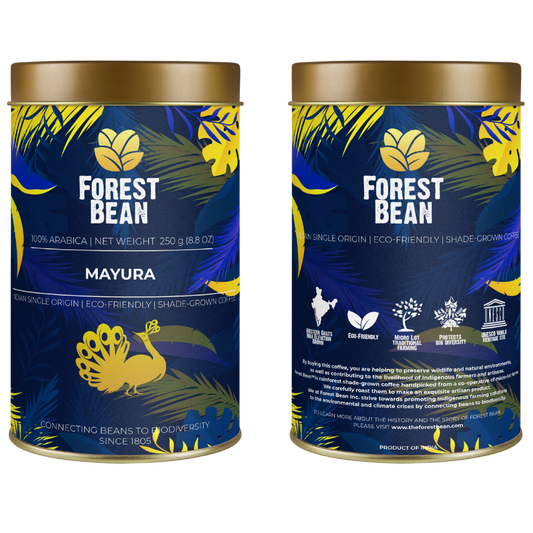MAYURA : Light to Medium Roast (Tin).